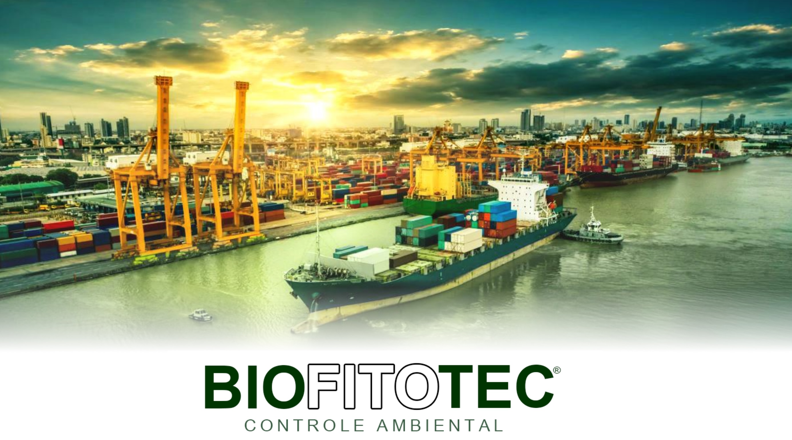 Imagem 30-03-2026 às 14.21.jpg